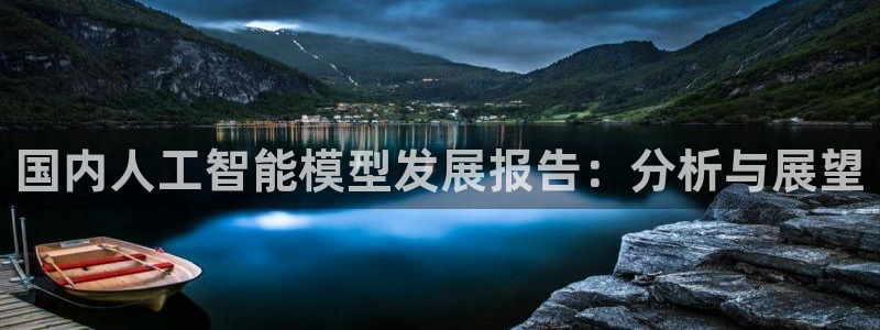 国内人工智能模型发展报告：分析与展望