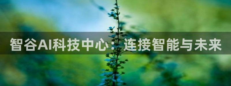 智谷AI科技中心：连接智能与未来