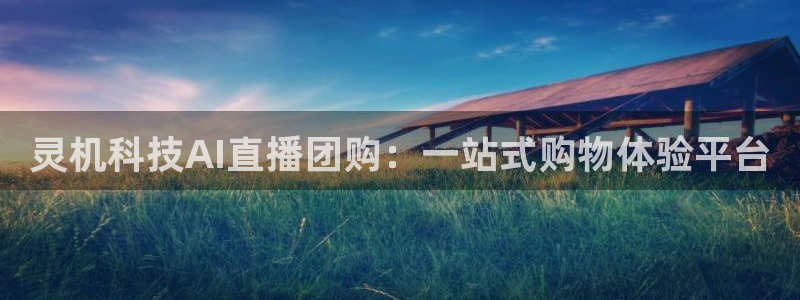 灵机科技AI直播团购：一站式购物体验平台