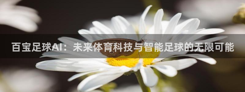百宝足球AI：未来体育科技与智能足球的无限可能