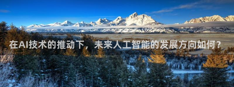 在AI技术的推动下，未来人工智能的发展方向如何？