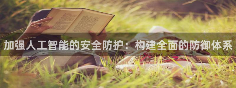 加强人工智能的安全防护：构建全面的防御体系