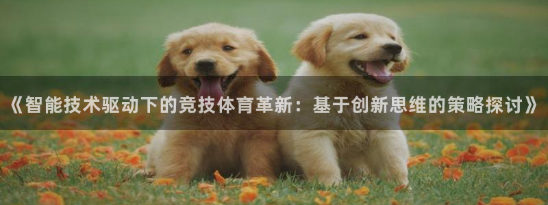 《智能技术驱动下的竞技体育革新：基于创新思维的策略探讨》
