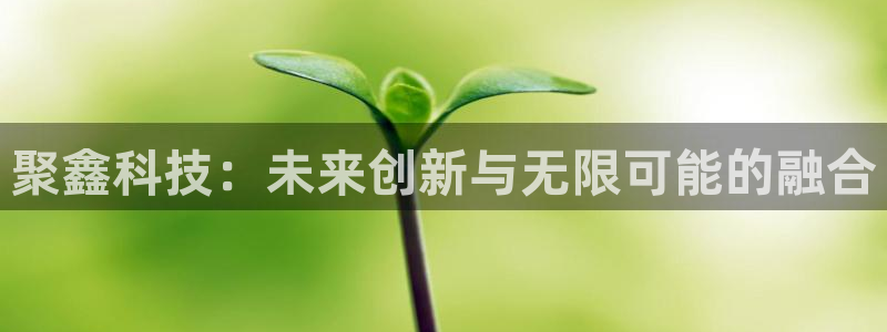 聚鑫科技：未来创新与无限可能的融合