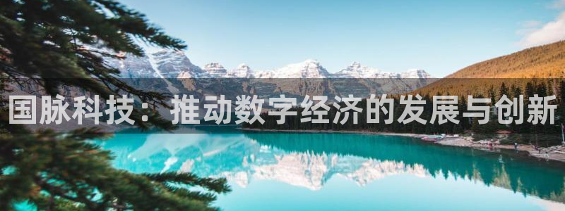 国脉科技：推动数字经济的发展与创新