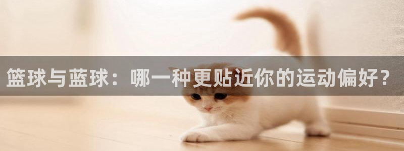 篮球与蓝球：哪一种更贴近你的运动偏好？