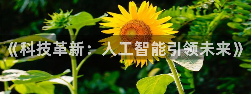 《科技革新：人工智能引领未来》