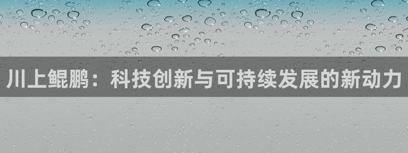 川上鲲鹏：科技创新与可持续发展的新动力
