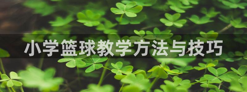小学篮球教学方法与技巧