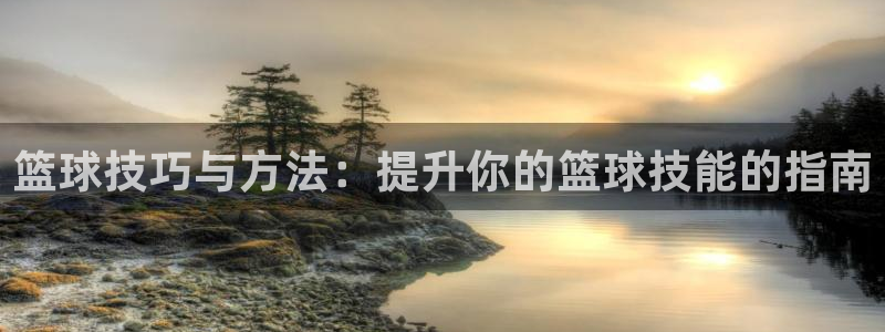 篮球技巧与方法：提升你的篮球技能的指南