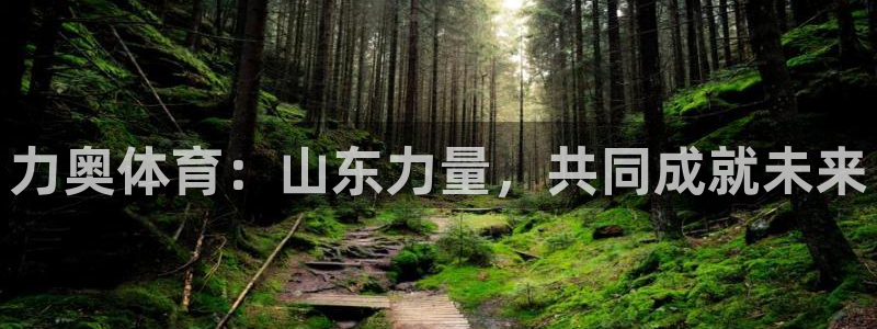 力奥体育：山东力量，共同成就未来