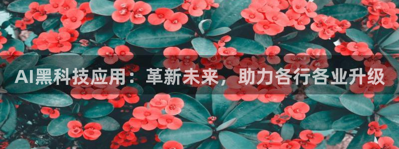 AI黑科技应用：革新未来，助力各行各业升级