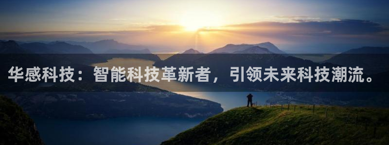 华感科技：智能科技革新者，引领未来科技潮流。