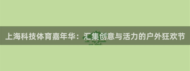 上海科技体育嘉年华：汇集创意与活力的户外狂欢节